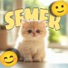 Иконка канала semer