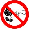 Иконка канала СБОРНАЯ СОЛЯНКА
