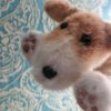 Иконка канала ♡﹤|мои хобби и поделки|﹥♡