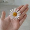 Иконка канала Ирина_гусик