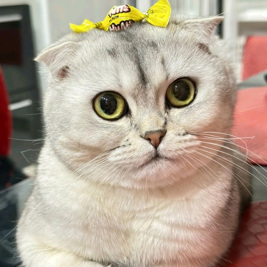 Иконка канала _Владо_