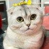 Иконка канала _Владо_