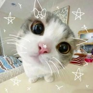 Иконка канала ୨⎯ "Albina_hobby" ୧ ⎯