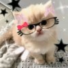 Иконка канала • . {МиЛьКа StOr}~ . •
 
 
ᴧучɯᴇ ᴨᴏʍᴇняй

уʍᴇᴩ