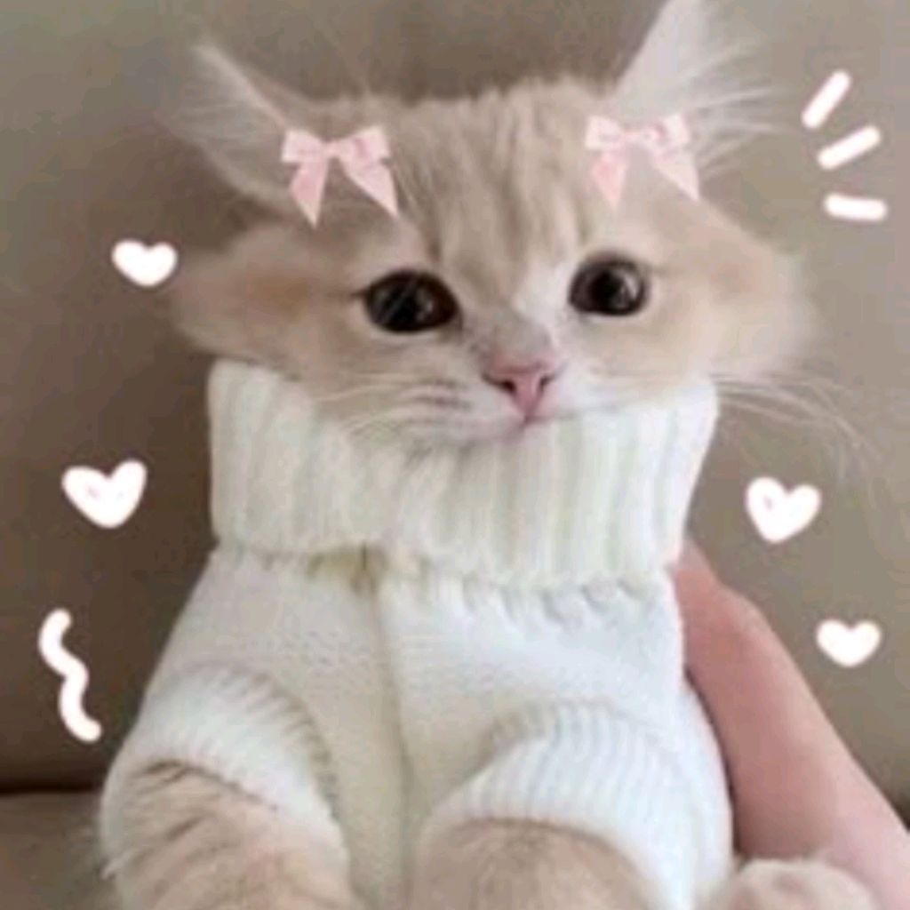Иконка канала Dasha чeburashka♠