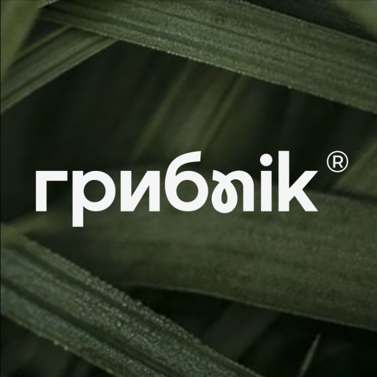 Иконка канала Биохакинг от природы | БАДы | Витамины by Грибnik