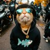 Иконка канала Лукомак