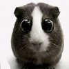 Иконка канала plaksikk_gamessss