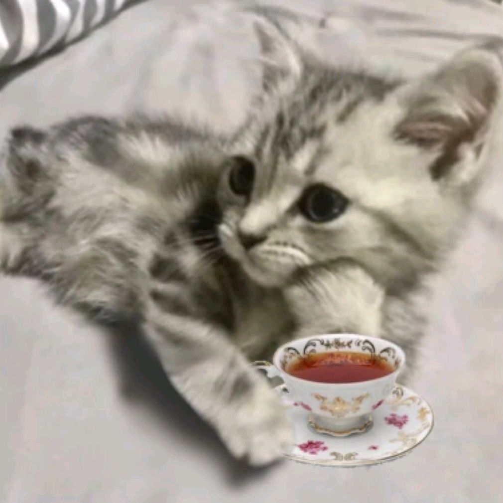 Иконка канала _ωtrashω_