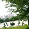 Иконка канала ꧁꧂Екатерина Соловьёва꧁꧂