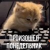 Иконка канала ELIT3