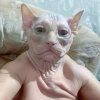 Иконка канала Смотрим вместе