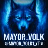 Иконка канала MAYOR_VOLK1/OFFICAL