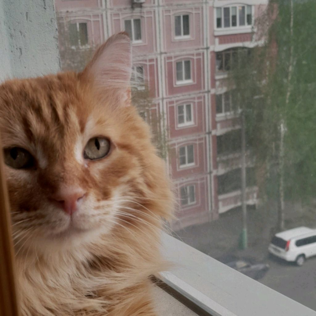 Аватар автора