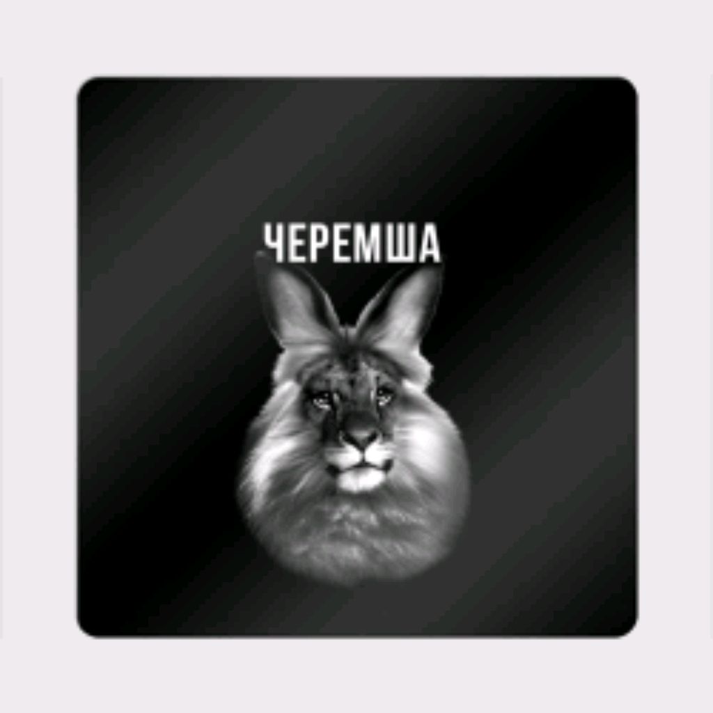 Иконка канала Черемша