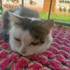 Иконка канала Андрей23082026