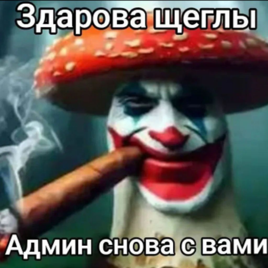 Иконка канала .БЕШЕННЫЙ_КОТ.