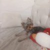 Иконка канала Ты Деть Я Деть Все Деть.