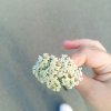 Иконка канала Роблокс💗