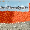 Иконка канала Sea of flowers/genshin
