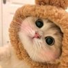 Иконка канала Где Я?