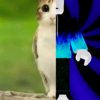 Иконка канала Захар