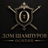 Иконка канала ДОМ ШАМПУРОВ | ОСИПЯН