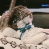 Иконка канала Роблокс и мои друзья