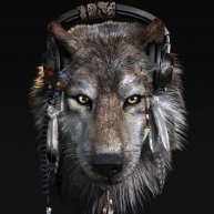 Иконка канала Romeo_Husky