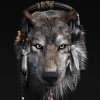 Иконка канала Romeo_Husky