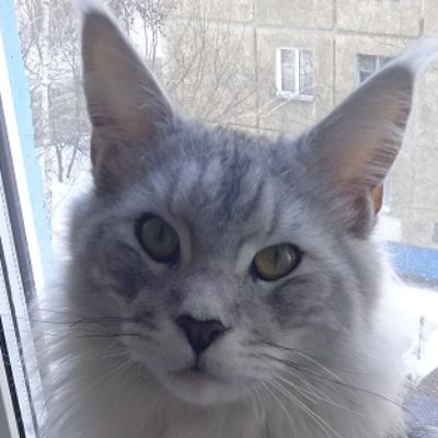 Аватар автора