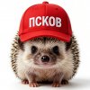 Иконка канала 🇷🇺🦔Псковский_Ёжик🦔🇷🇺