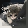 Иконка канала Даня