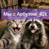 Иконка канала Геймер Енот