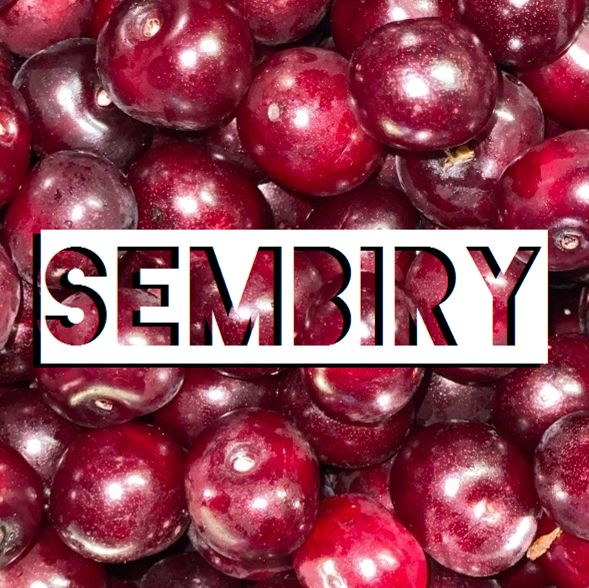 Иконка канала SEMBIRY