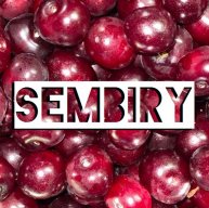 Иконка канала SEMBIRY