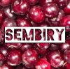 Иконка канала SEMBIRY