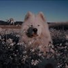 Иконка канала ∆~𝓟𝓸𝓼𝓲𝓽𝓲𝓿𝓮 𝓹𝓪𝔀𝓼~∆