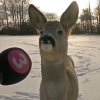Иконка канала ^;﹤Raten_zzarya﹥;^
