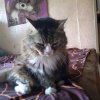 Иконка канала Влад Разное