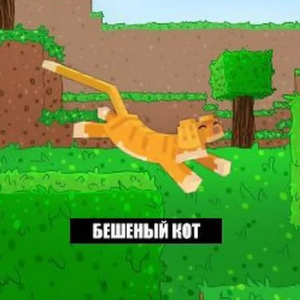 Аватар