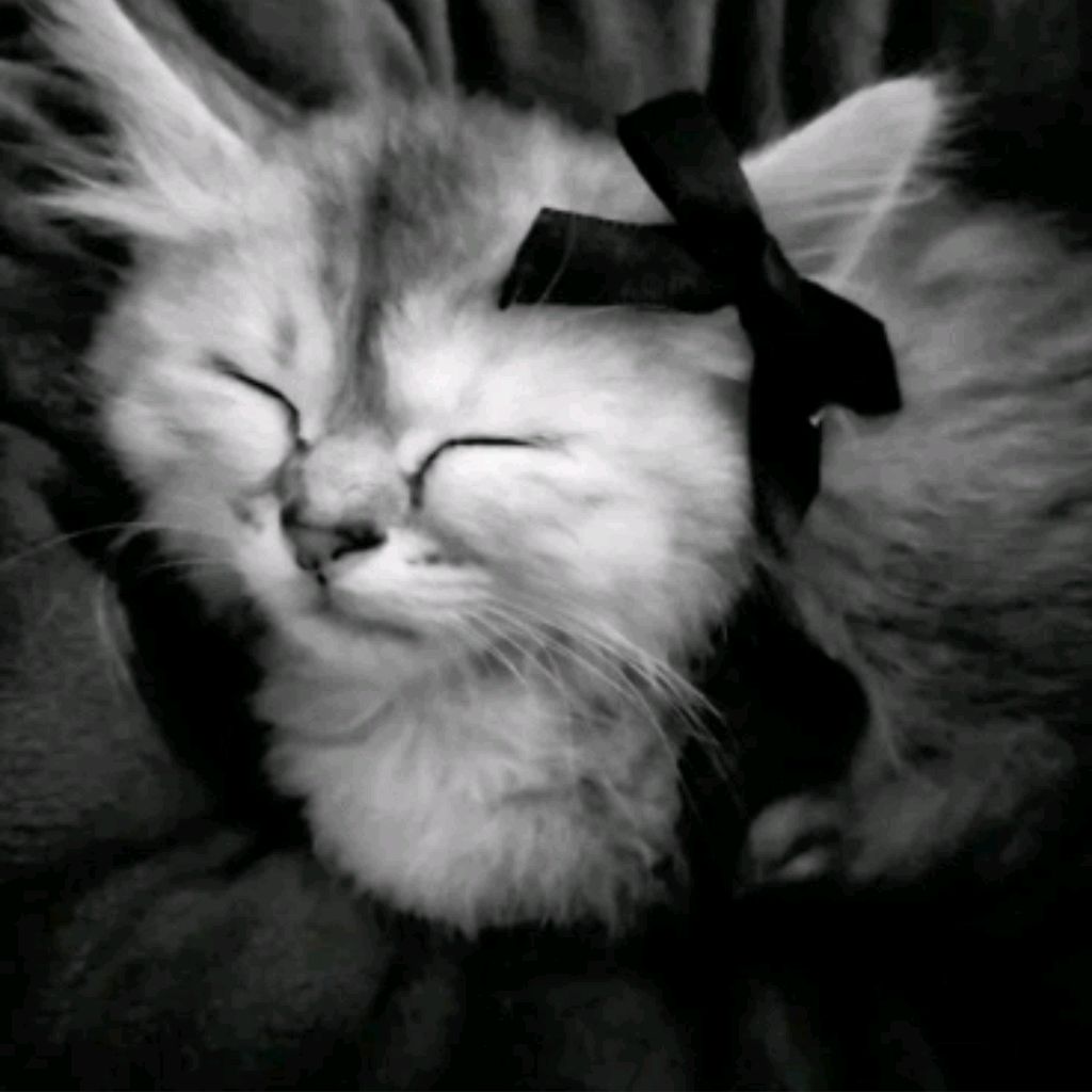Иконка канала ♡Аномалия Стор♡