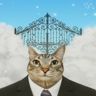 Иконка канала Два в одном