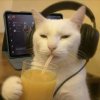 Иконка канала channel79322945