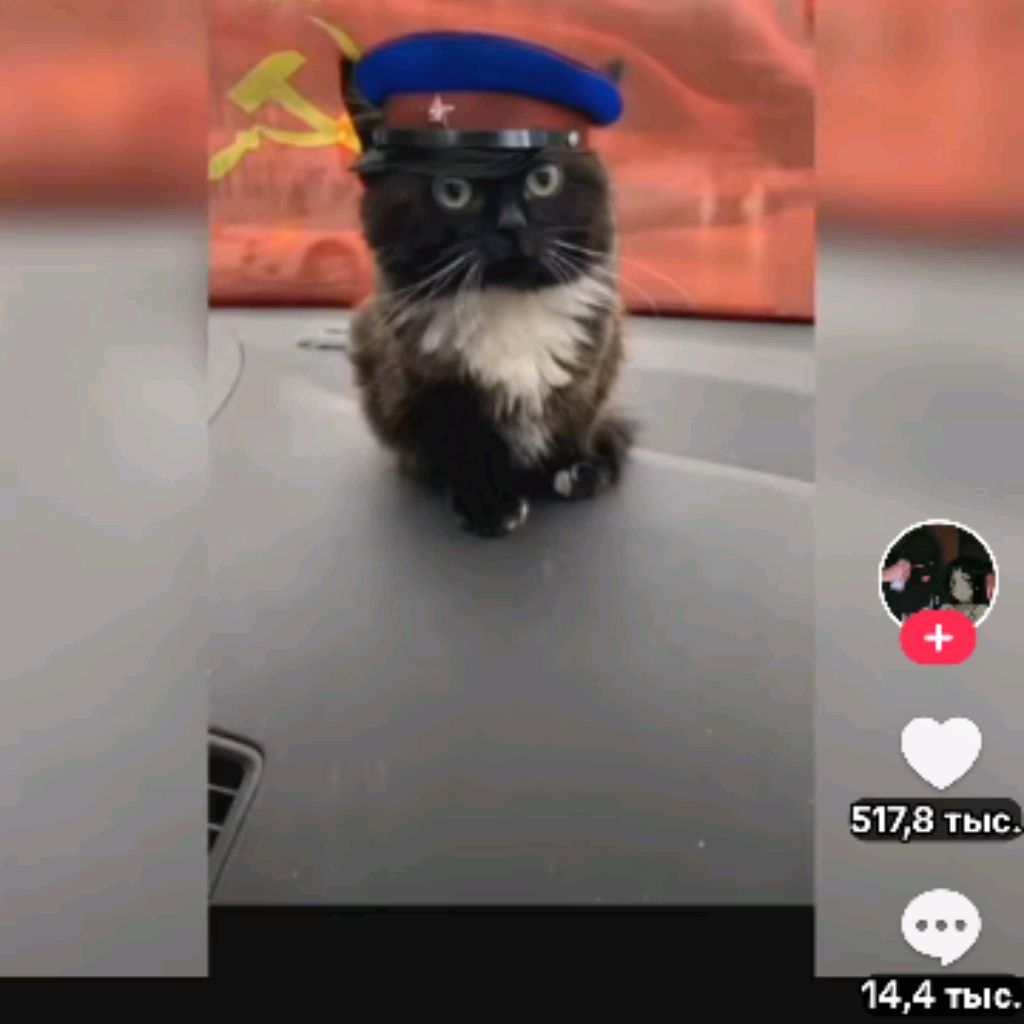 Иконка канала Dima play
