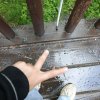 Иконка канала Лили