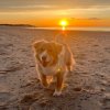 Иконка канала °•☀️~Солнечная ESSA~☀️•°