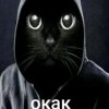 Иконка канала Chicken Gan