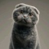 Иконка канала Manyunya_stor