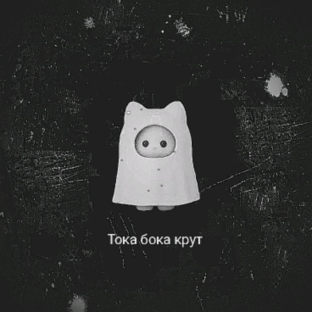 Иконка канала Тока Бока крут